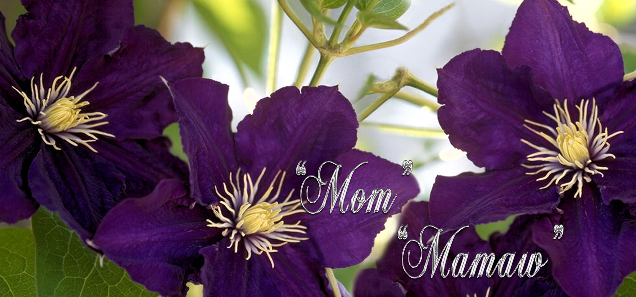 Purple Cylmaties (Mom Mamaw) PROOF